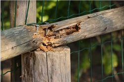 Photo of a broken log fence.