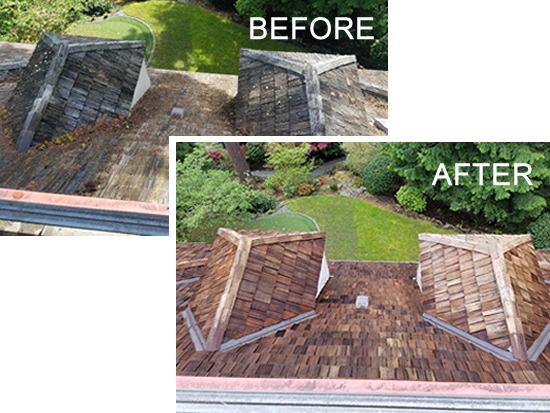 Before and After photos of a dirty roof and clean roof.